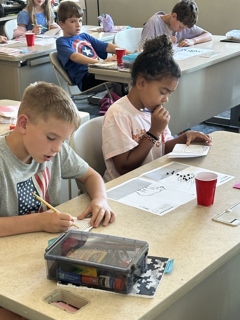 students working in pairs at their desks