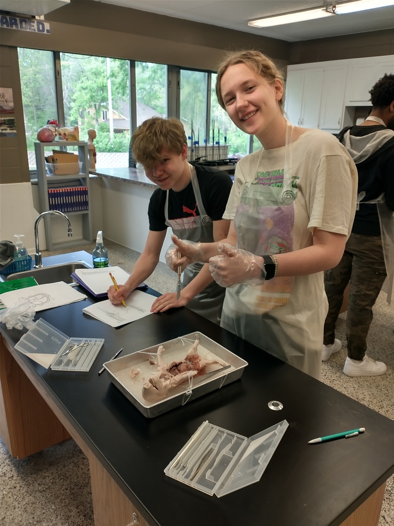 students dissecting a fetal pig