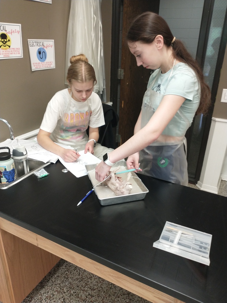 students dissecting a fetal pig