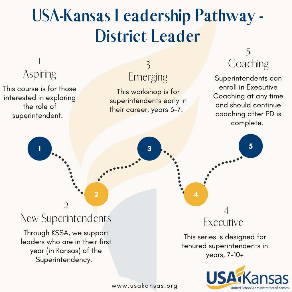 District Leader Pathway