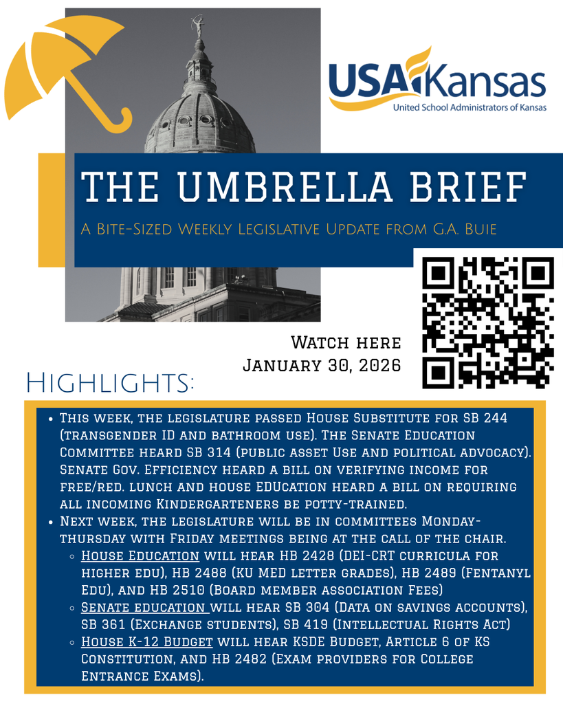 Umbrella Brief January 30 2026