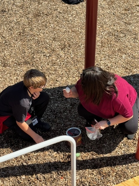 Egg Drop