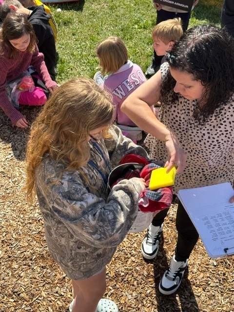 Egg Drop