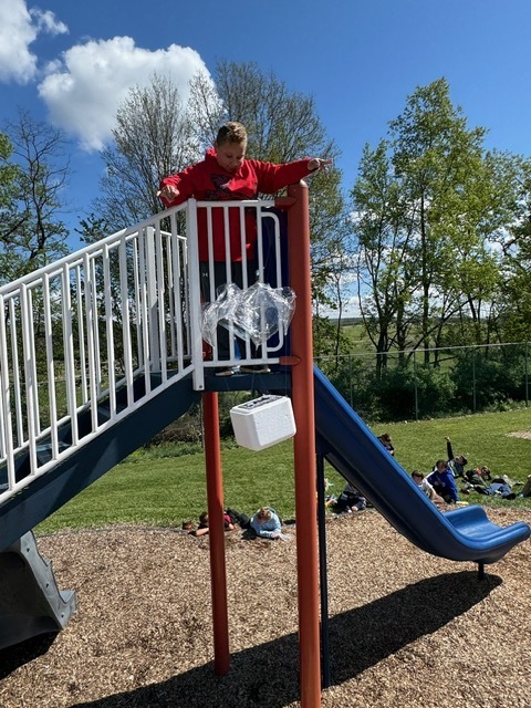 Egg Drop