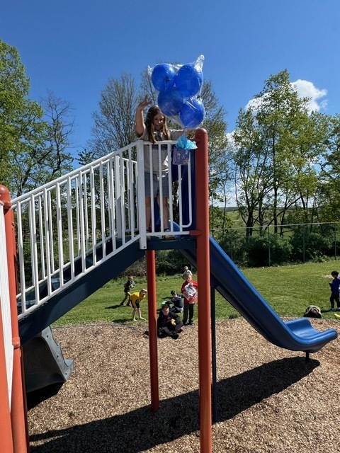 Egg Drop