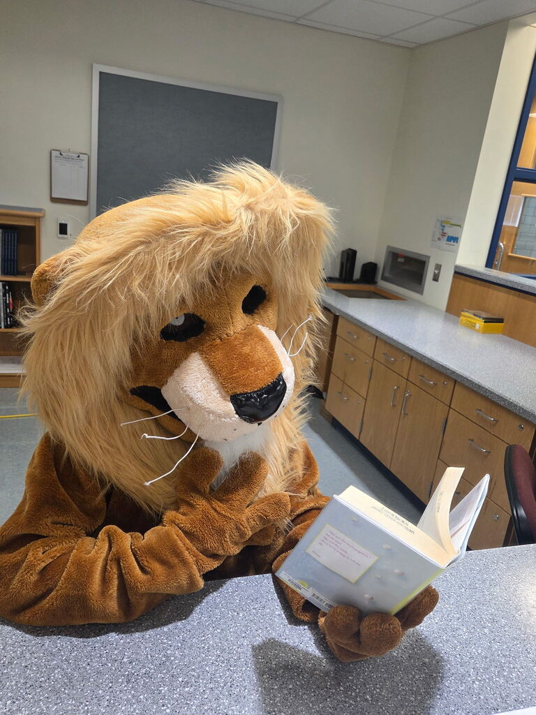 Lion Reading