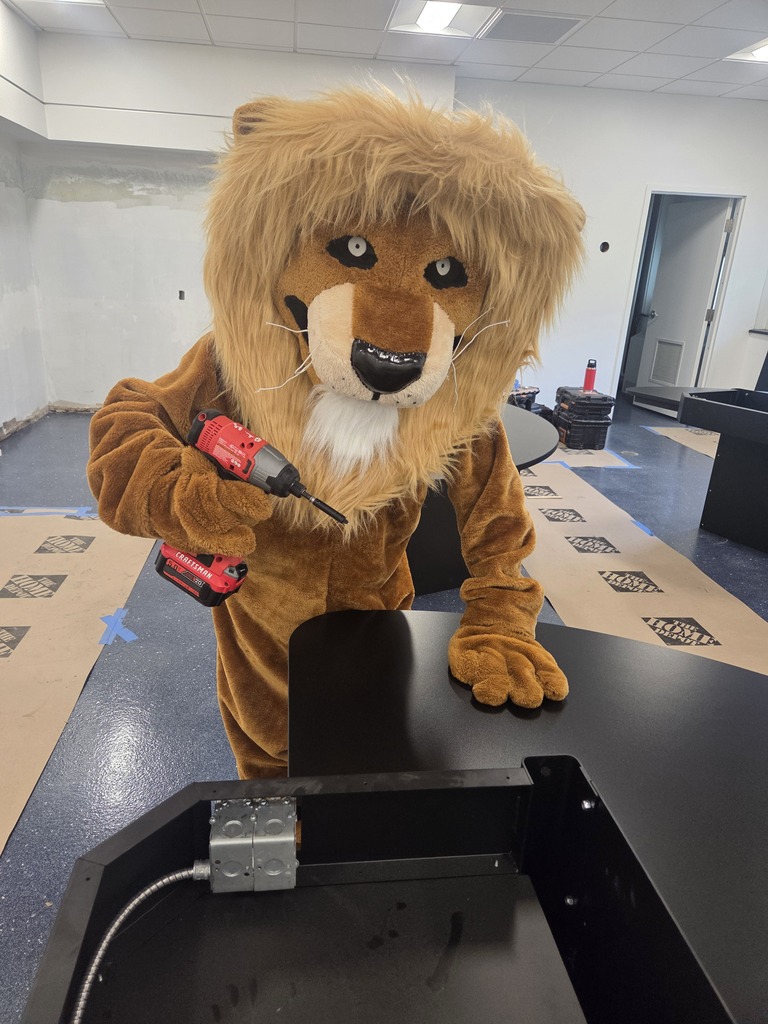 Lion Working