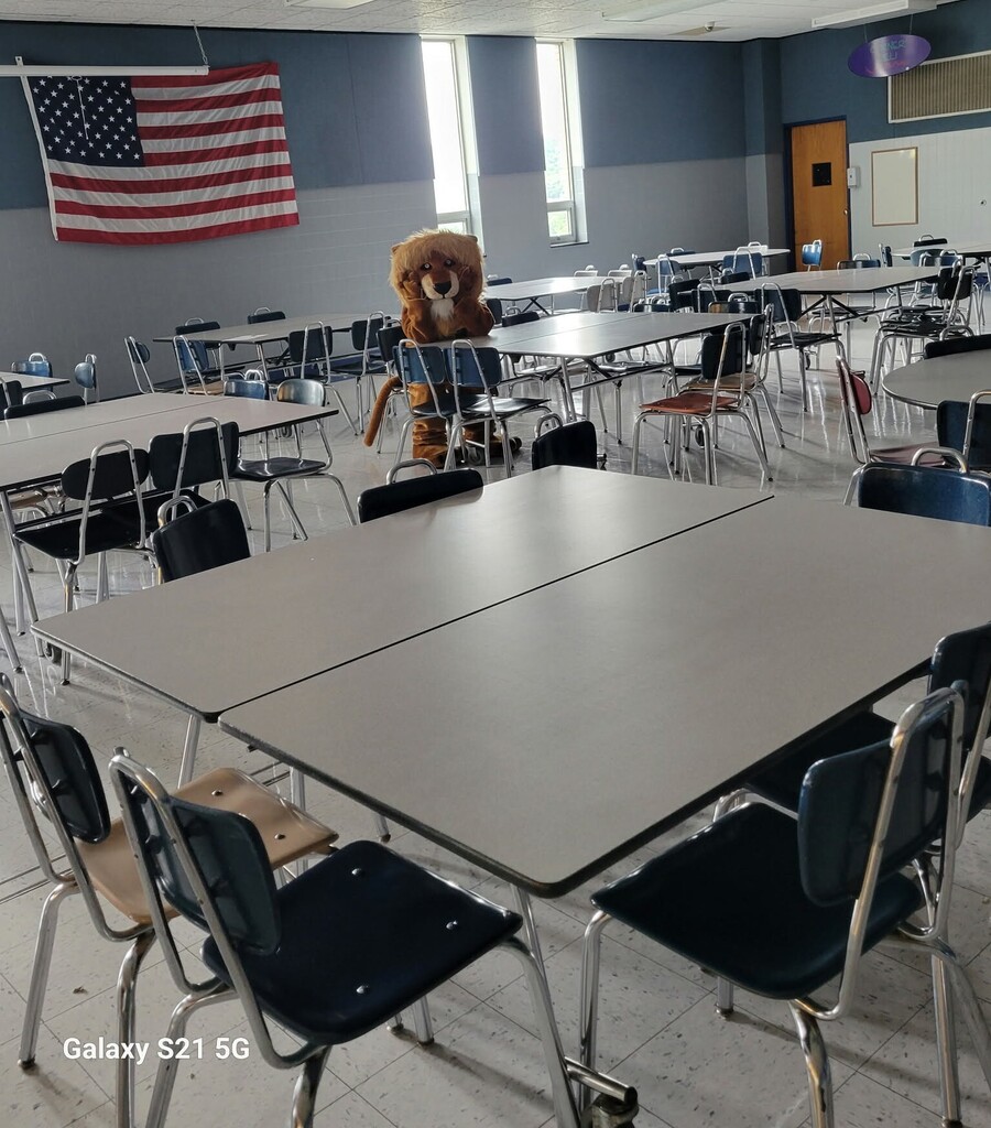 Lonely Lion