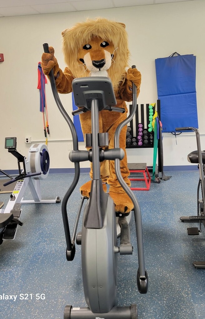 Lion Fitness