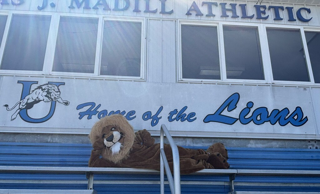 Lion Bleachers