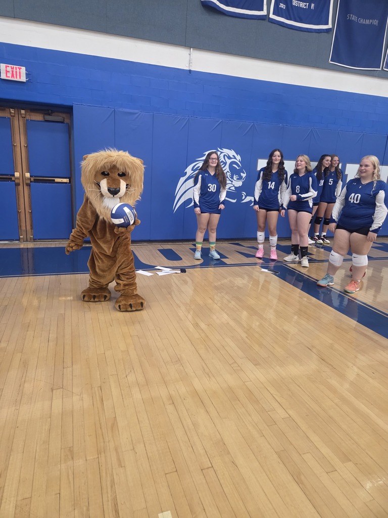 volleyball