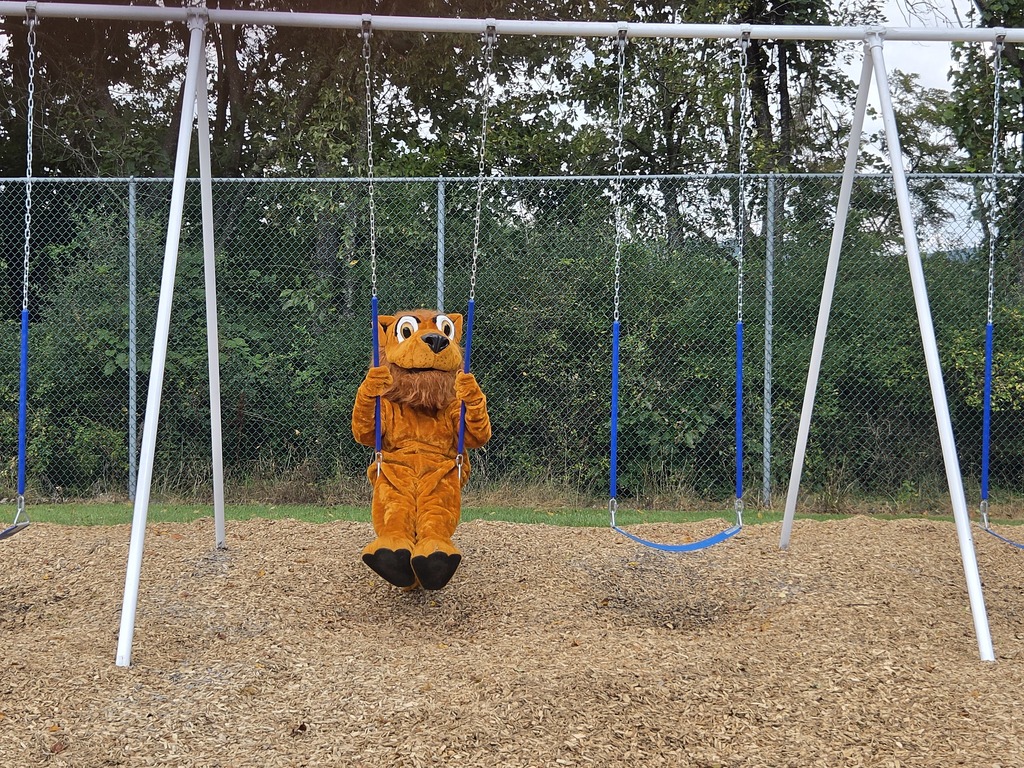 Swings