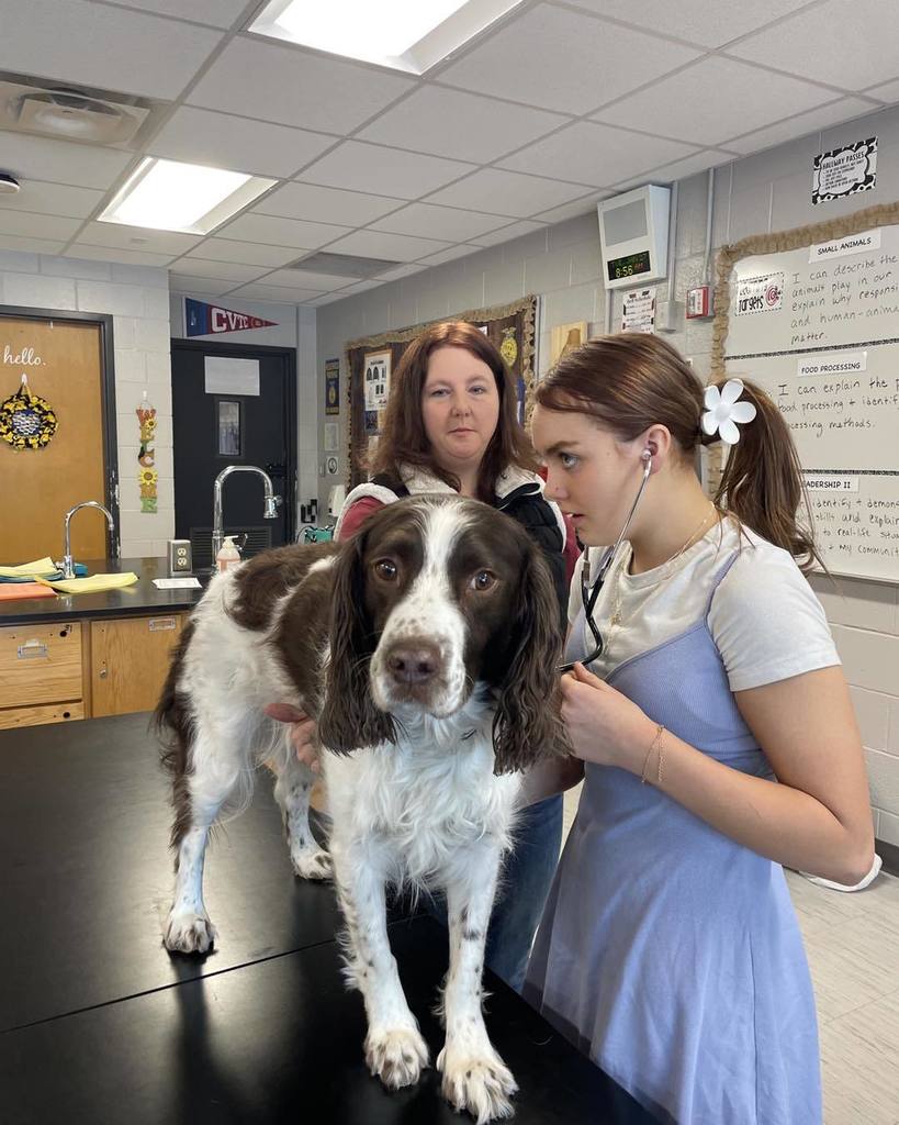 picture of veterinarian, a dog, and a girl checking the dogs heart beat with a stethescope
