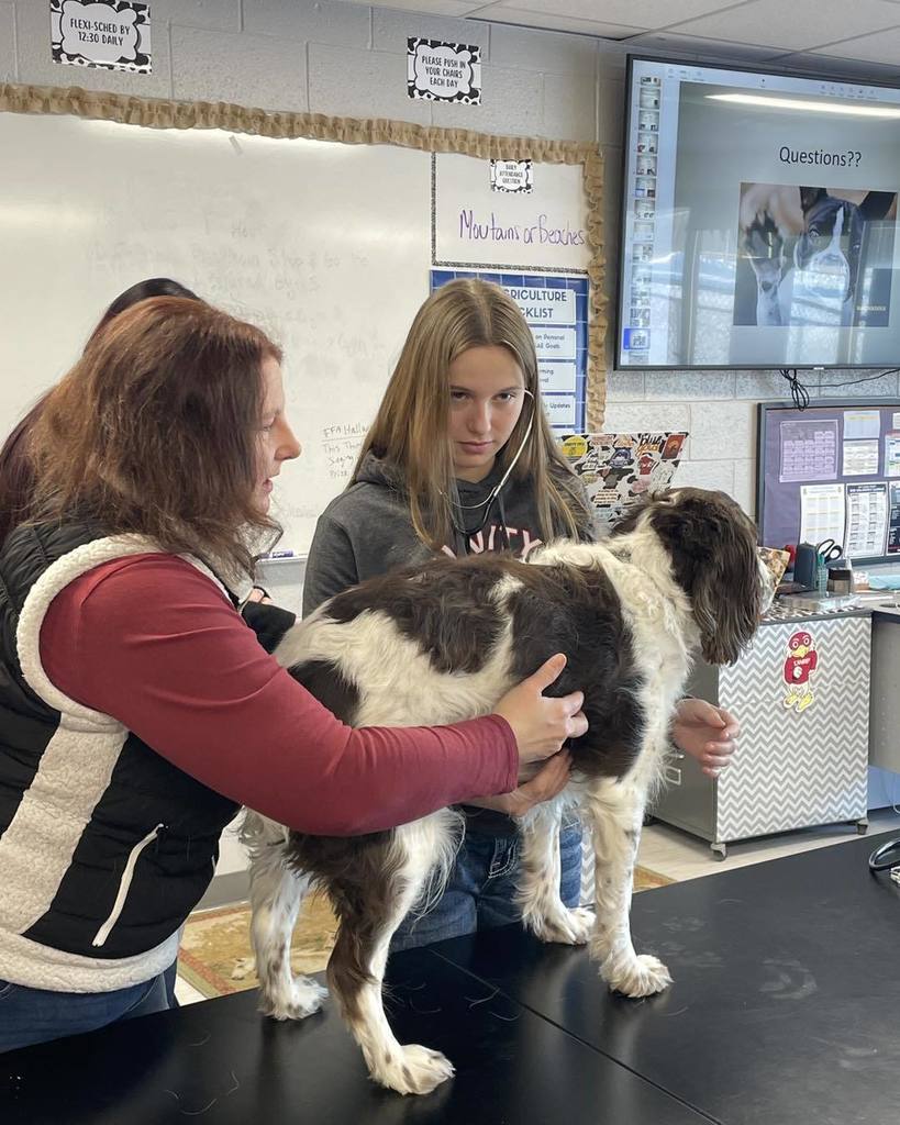 picture of veterinarian, a dog, and a girl checking the dogs heart beat with a stethescope