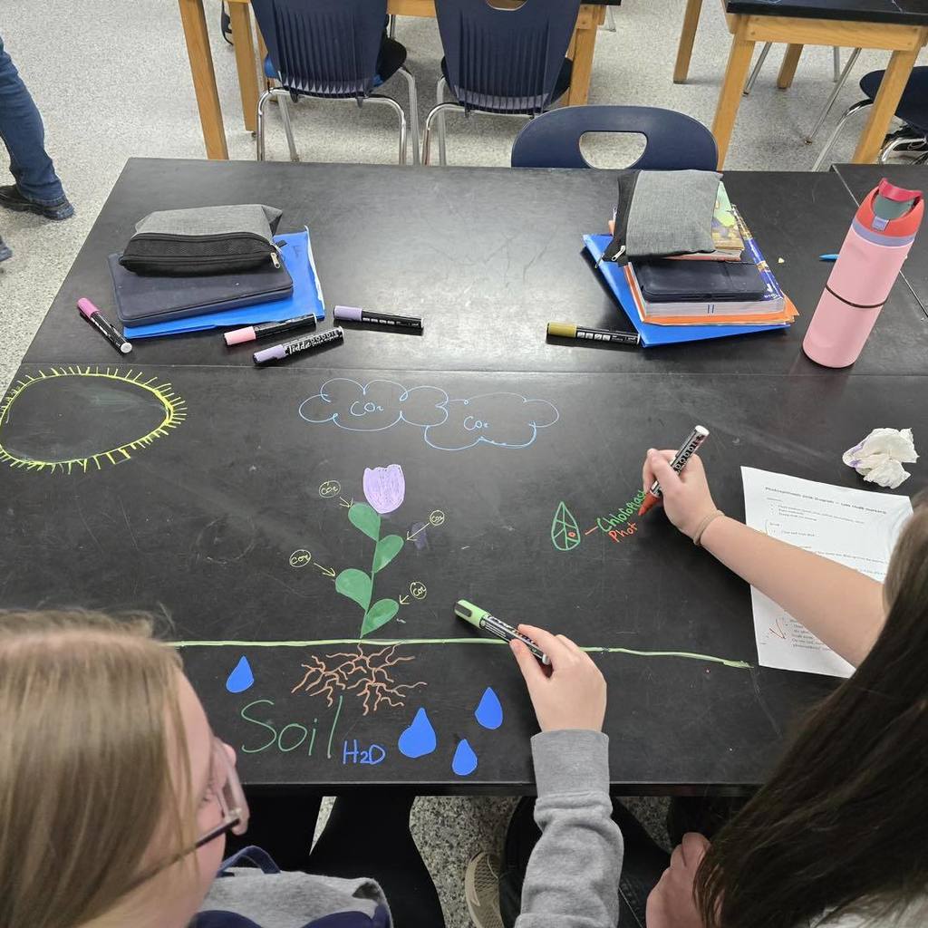 picture of 7th grade science  students the drawing photosynthesis cycle on the black science tables using chalk markers