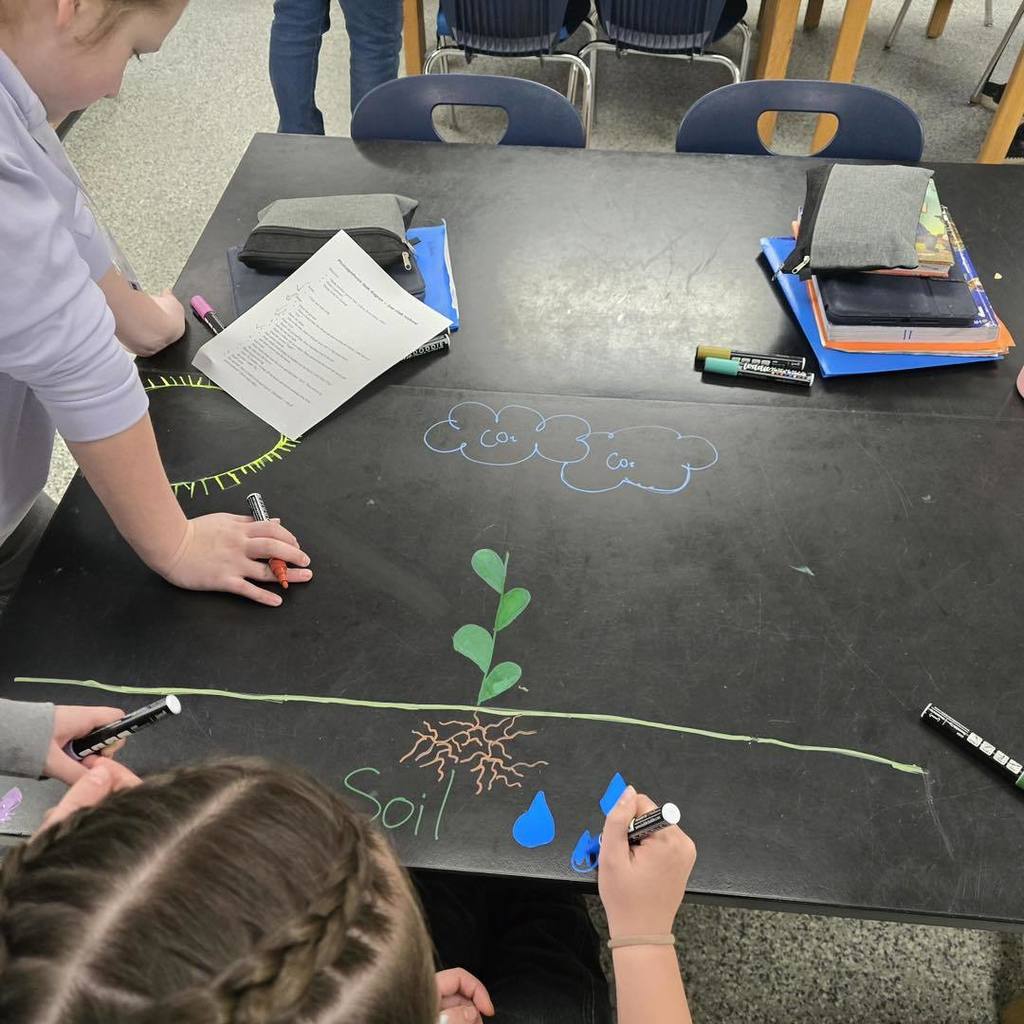 picture of 7th grade science  students the drawing photosynthesis cycle on the black science tables using chalk markers