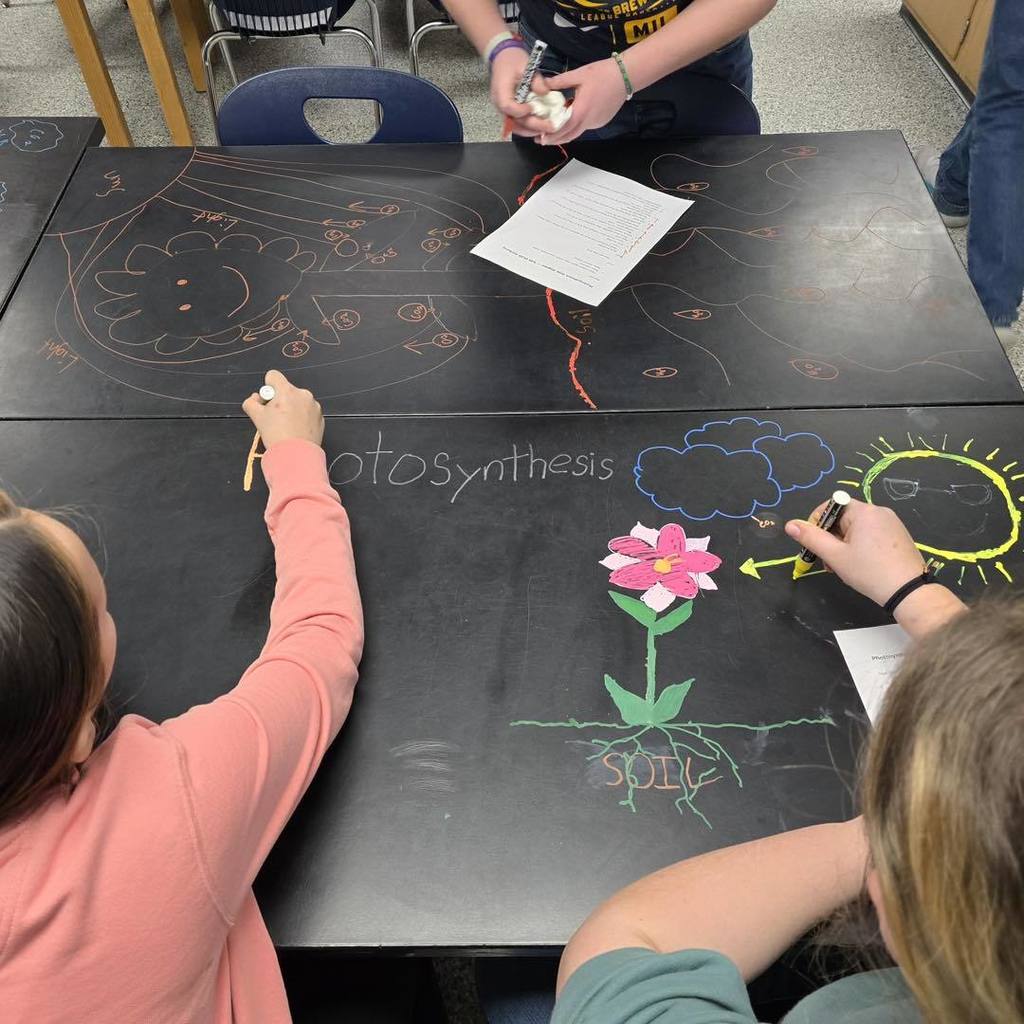 picture of 7th grade science  students the drawing photosynthesis cycle on the black science tables using chalk markers