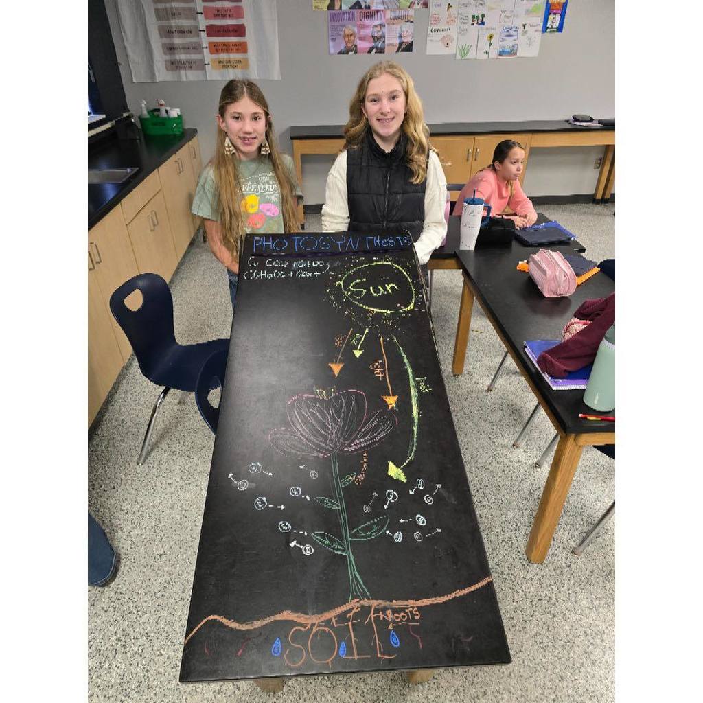 picture of 7th grade science  students the drawing photosynthesis cycle on the black science tables using chalk markers