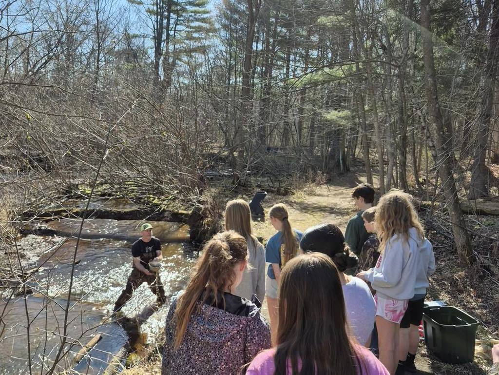 A group of Unity 7th grade students standing on a wooded bank, watching closely as an instructor in the creek demonstrates how to use a scientific strainer. The sun shines through the tall pine trees onto the flowing water, highlighting the hands-on nature of the stream survey.