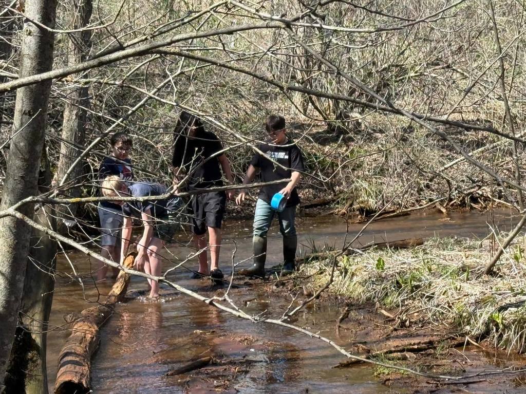 Unity 7th graders participating in an Earth Day stream survey at Rice Creek, wading into the water to collect and index macro-invertebrates.