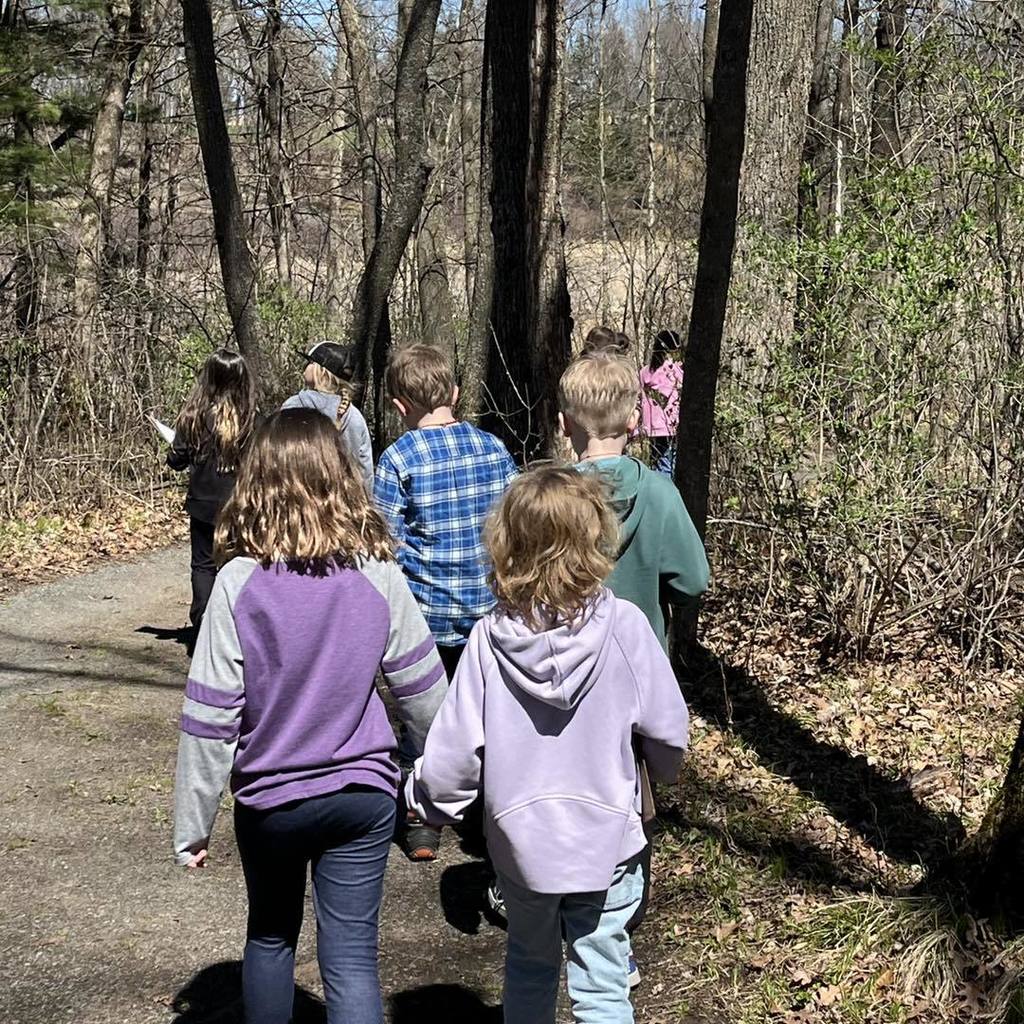 A group of elementary students seen from behind as they walk down a paved nature trail. They are surrounded by tall, sunlit trees with shadows stretching across the path.