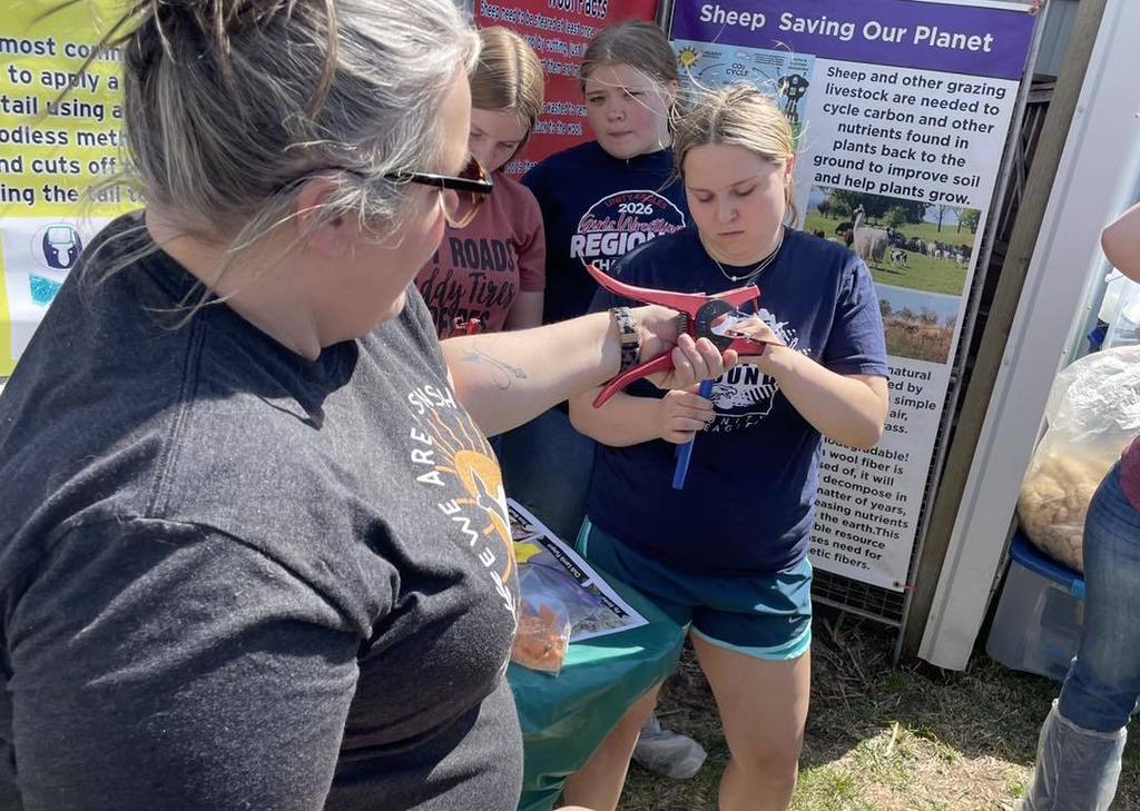 An instructor in a grey t-shirt assists a group of female students as they practice using a red ear-tagging tool on a demonstration piece. Educational posters about sheep and sustainability are visible in the background of the outdoor learning station.