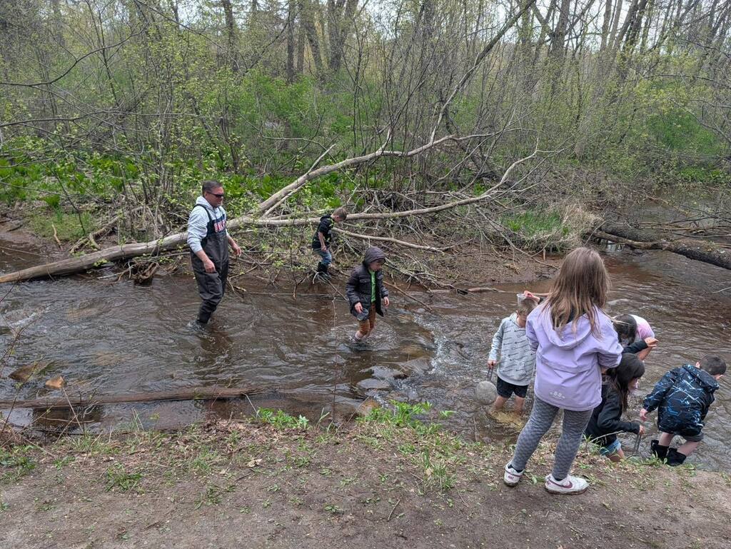 A group of first-grade students and an instructor exploring a shallow, wooded creek during Science Day.