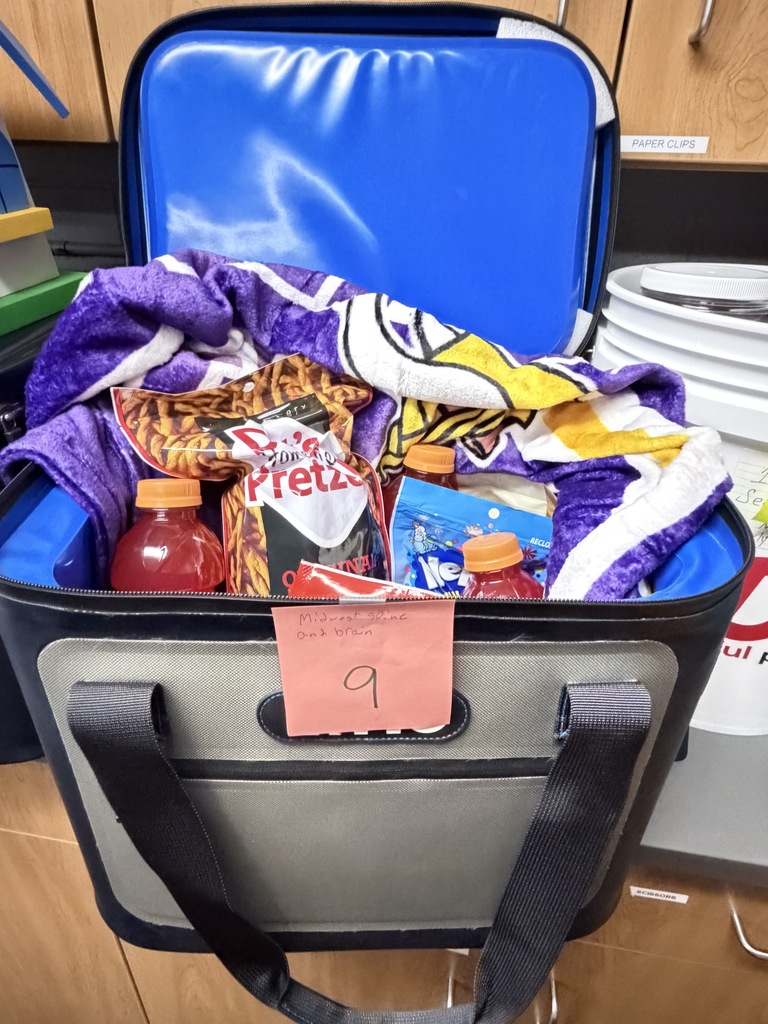 An open soft-sided cooler bag packed with snacks, drinks, and a patterned blanket, marked with a number 9 tag.