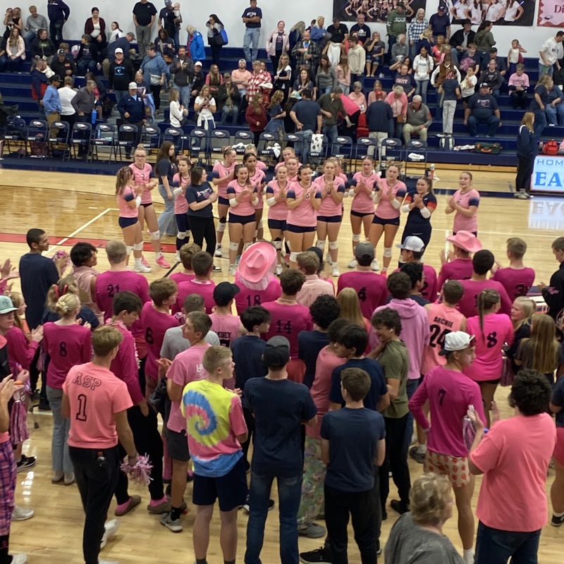 Crowd cheering on the volleyball players at the end fo the Dig  Pink game