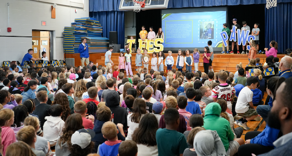paws assembly