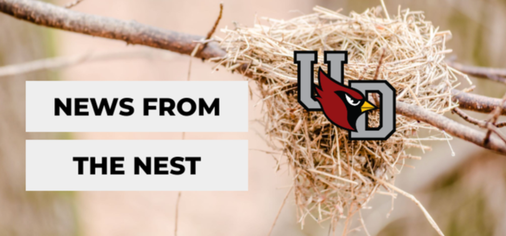 news from the nest