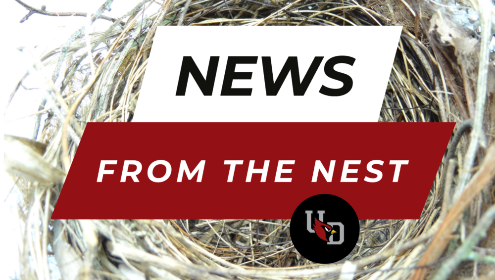 news from the nest