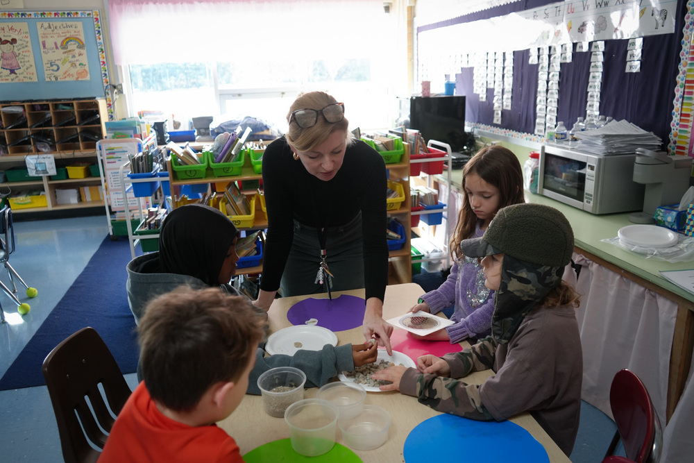 rock learning in science