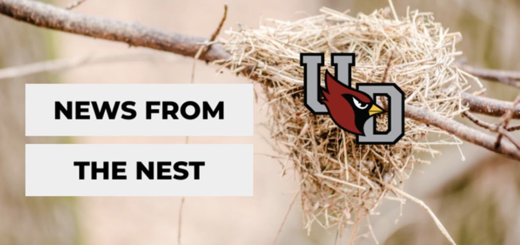 news from the nest
