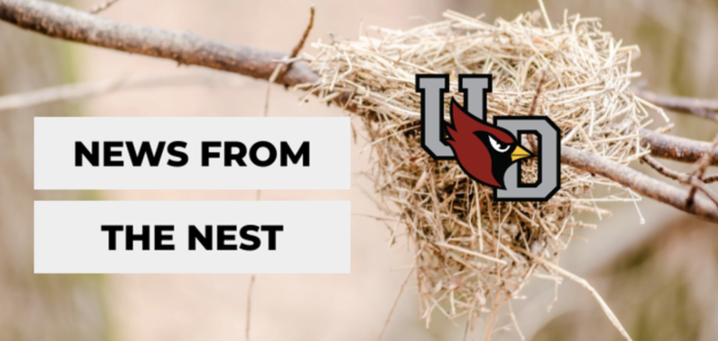 news from the nest