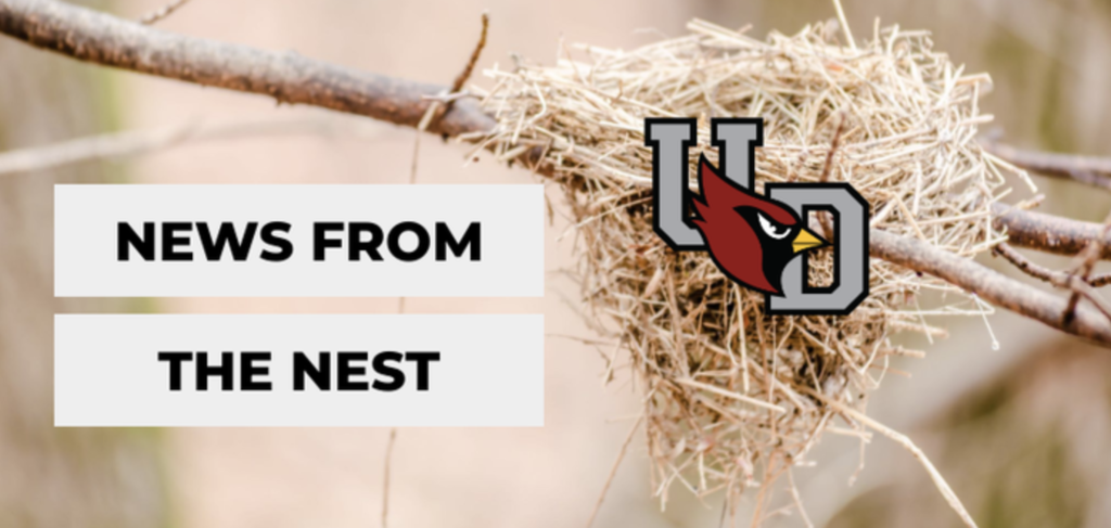 News from the Nest