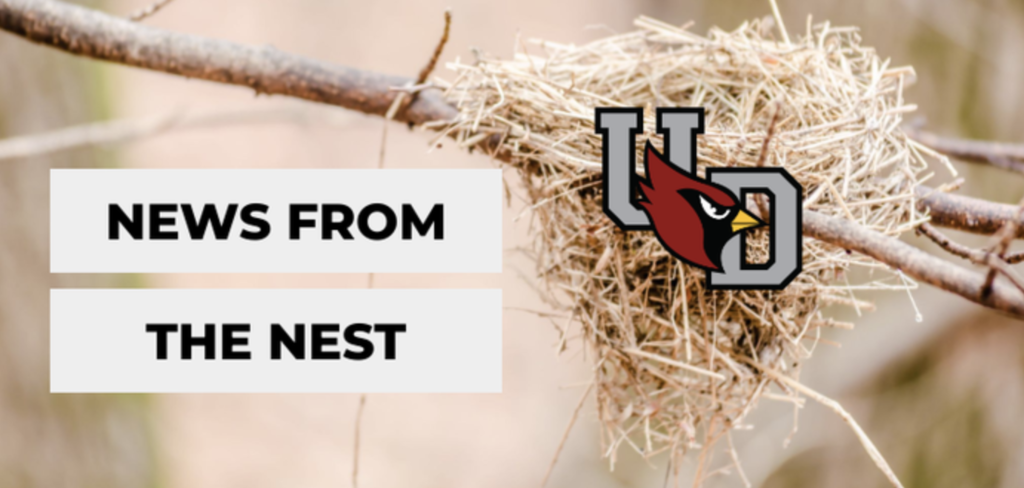 news from the nest