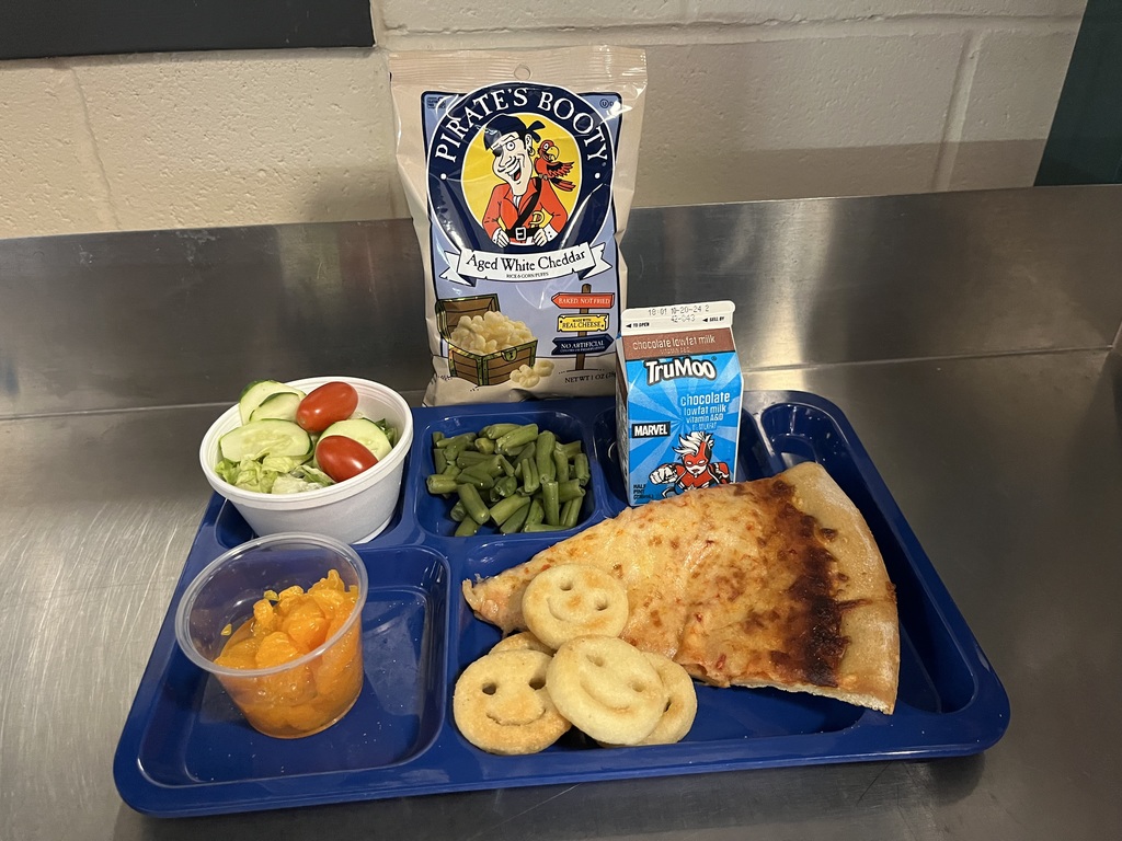 A healthy and nutritious school lunch. Side salad, fruit, green beans, milk, pizza, tater tots, and pirates booty.