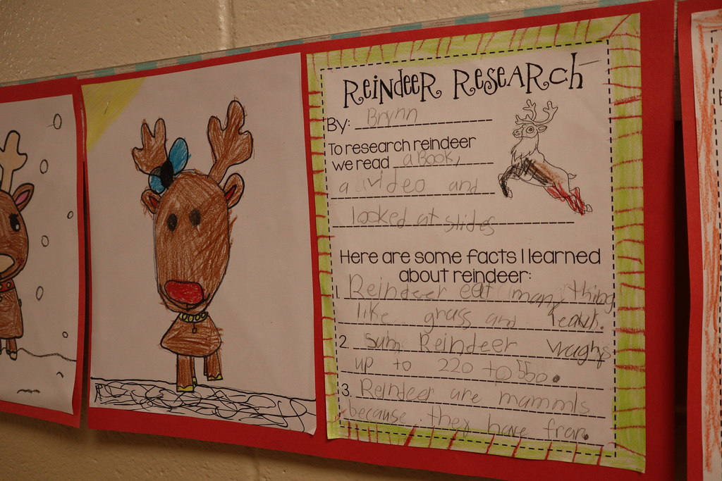 Drawing of a reindeer in the hallway with reindeer research paper