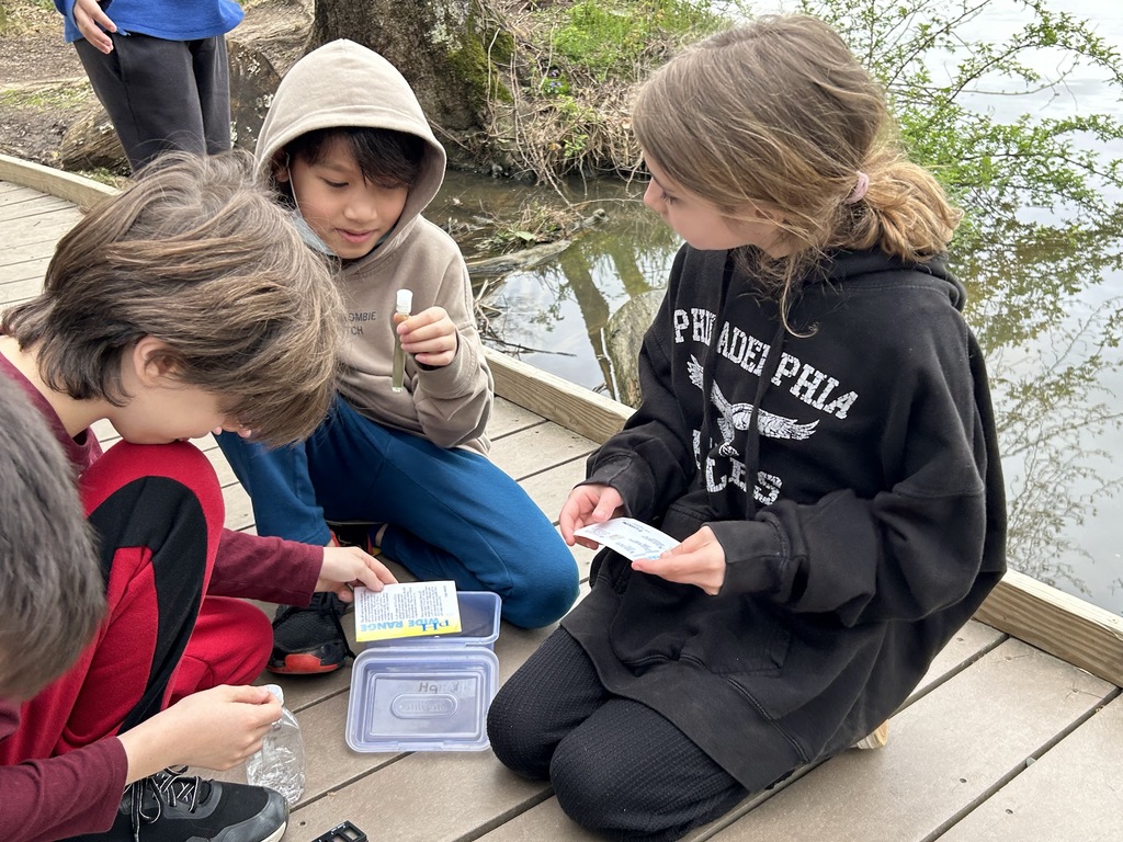 Students taking water samples