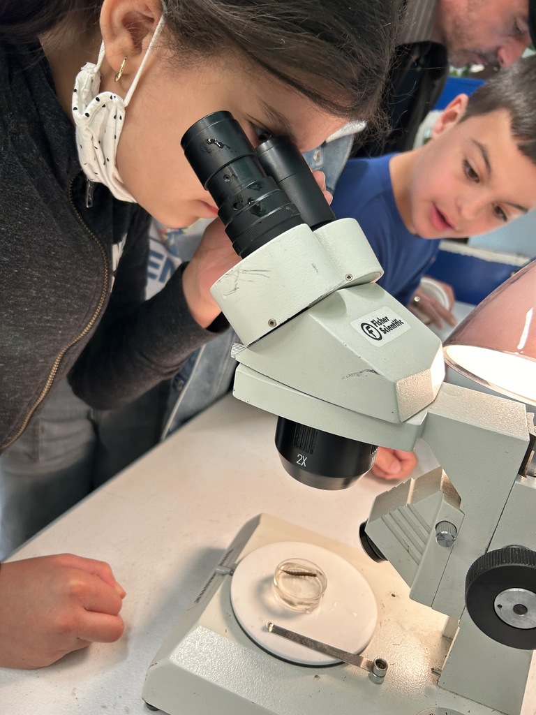 Students working in the lab
