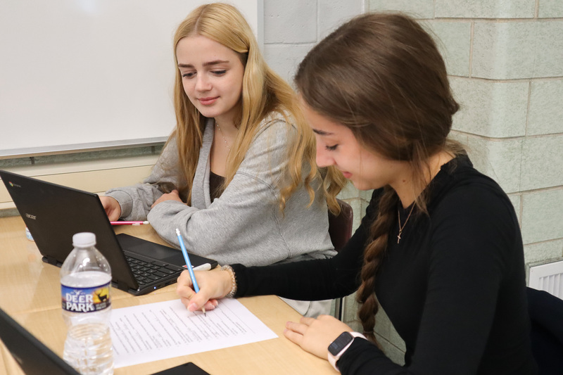 Students work in pairs on an assignment