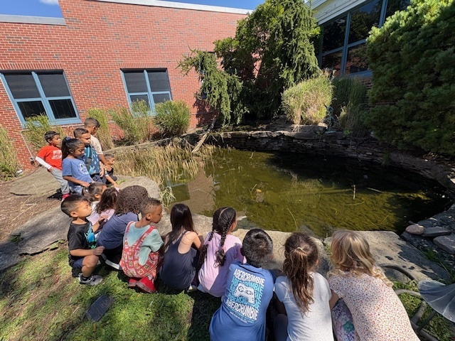 Students gathered around koi pond