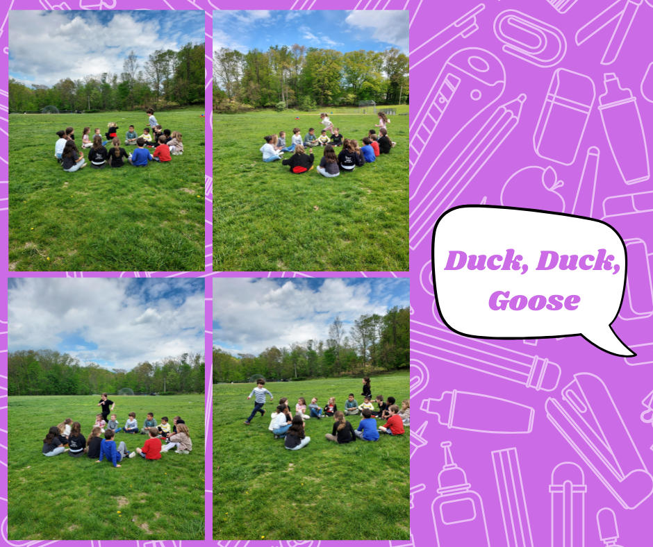 Duck, Duck, Goose