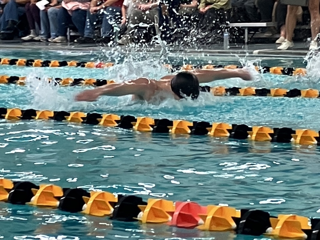 swim