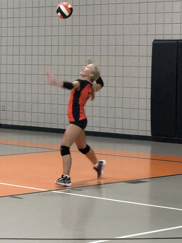 vball