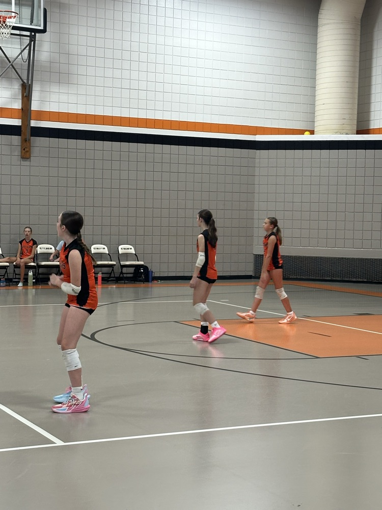 vball