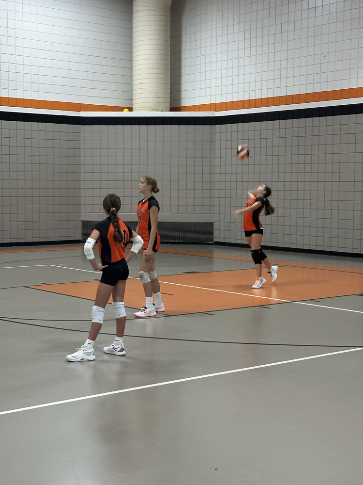 vball