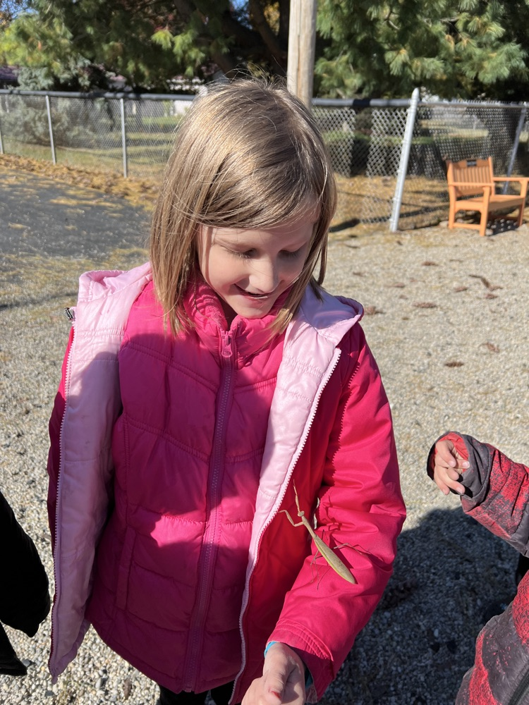 student with praying mantis