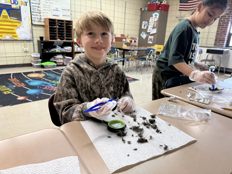 owl pellets in science with kids smiling